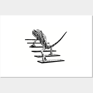 Chameleon Climbing Stairs for Chameleon Lovers Posters and Art